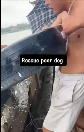 Behind every rescue is a story of courage and compassion (PART 2)