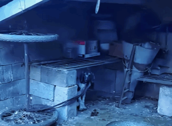 From fear to freedom — this is what love can do (PART 2)