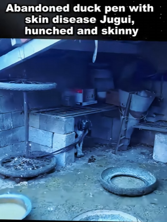 From fear to freedom — this is what love can do (PART 2)