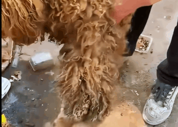 They didn’t choose the streets. But we can choose to help (Part 2)