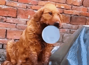 One act of kindness can change a life forever (Part 2)