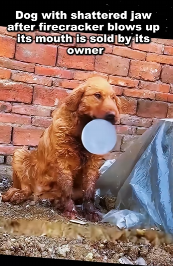 One act of kindness can change a life forever (Part 2)