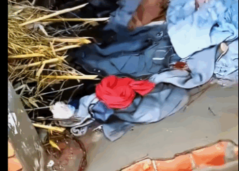 Rescue isn’t just a word — it’s a promise (PART 2)