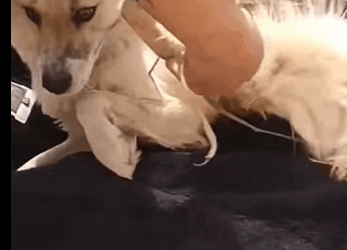 They only needed one thing — kindness (Part 2)