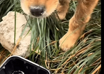 Their eyes finally shine again (Part 2)