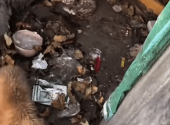 This is what happens when compassion meets action (PART 2)