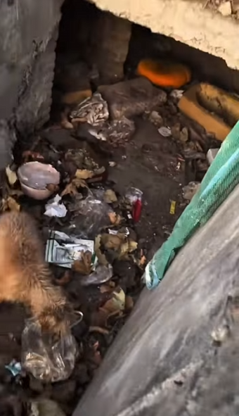 This is what happens when compassion meets action (PART 2)