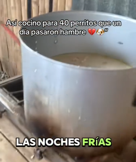 Así cocino para 40 perritos que un día pasaron hambre (Part 2)