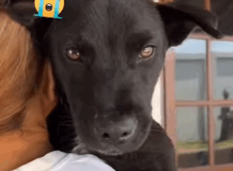 Me dejaron morir solo entre cuatro paredes… pero Dios envió a un ángel” (Part 2)