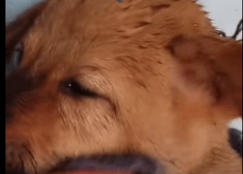 Intentaron apagar mi luz… pero Dios la encendió otra vez (Part 2)