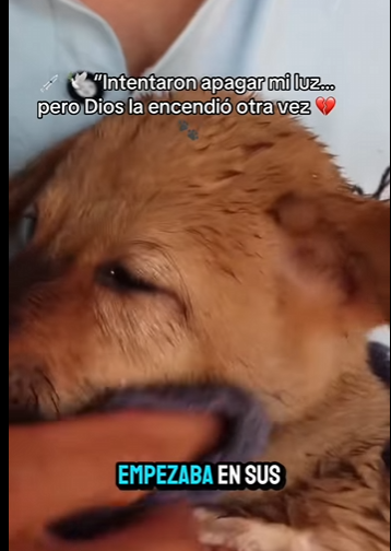 Intentaron apagar mi luz… pero Dios la encendió otra vez (Part 2)