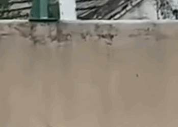 Me rompier@n las patas solo por comer…Luego me tirar@n a morir a un Lago (Part 2)