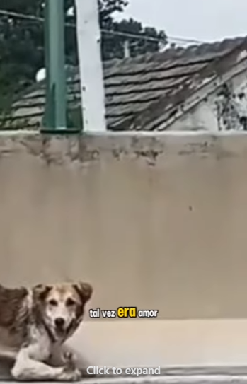 Me rompier@n las patas solo por comer…Luego me tirar@n a morir a un Lago (Part 2)