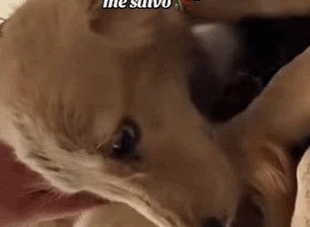 Atado, sin agua ni comida… así pasé mis días hasta que alguien me salvó (Part 2)