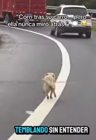 Corrí tras su carro… pero ella nunca miró atrás (Part 2)