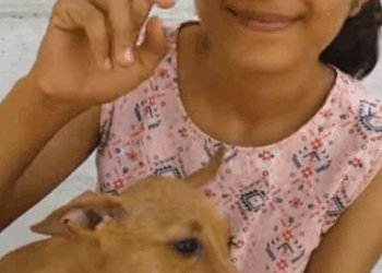 An Injured puppy struggled to take even few steps but now walks again_part2