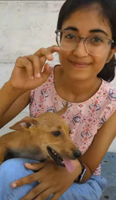 An Injured puppy struggled to take even few steps but now walks again_part2