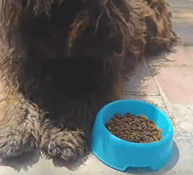 Their transformation is more than physical — it’s emotional, soulful, and pure. Watch what happens when kindness finds a lost soul (Part 2)