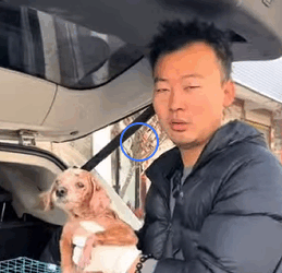 When you rescue, you don’t just save — you heal, inspire, and give life back its meaning (FULL video)