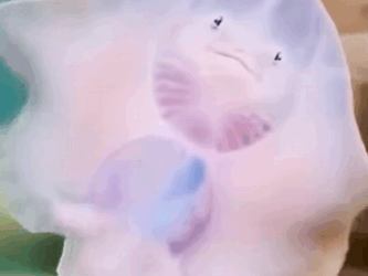 Salva las mantarrayas (Part 2)