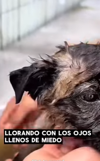 Entre golpes,miedo y Soledad…Solo uno sobrevivió al Olvido (Part 2)