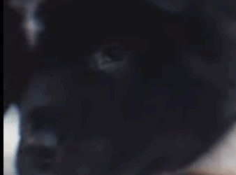 Nací y me tiraron como basura… pero alguien me salvó bajo la lluvia (Part 2)