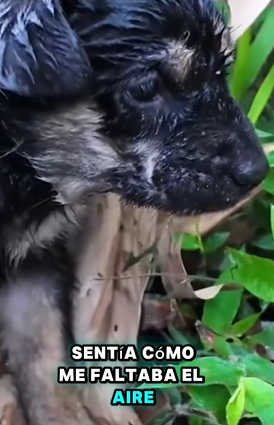 Casi muero en el lugar donde solo pedí ayuda(Part 2)