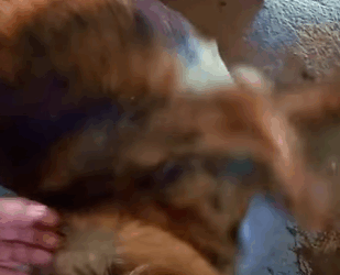 Solo quería comer… pero me envenenaron cruelmente (Part 2)