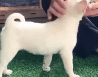 Le dieron un golpe y quisieron apagar su luz pero no sus ganas de vivir (Part 2)