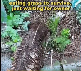 A small act of kindness can save a life, Don’t look away—every helping hand matters (Part 2)