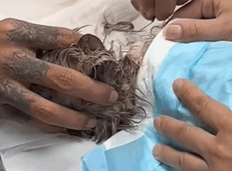 They can’t speak, but their eyes tell stories of pain and hope. Let’s be their voice (Part 2)