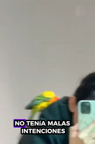 Un invitado no invitado irrumpió repentinamente en la habitación de la niña (Part 2)