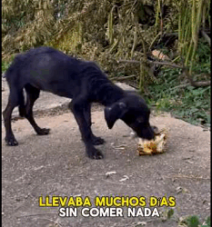 En Medio De La Carretera No Sabia Que Hacer HISTORIA DE KIARA (Full video)