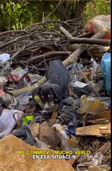 Un rescate con final feliz (Full video)