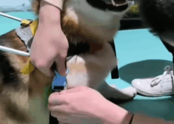 He used to run from people. Now he runs to them (Part 2)