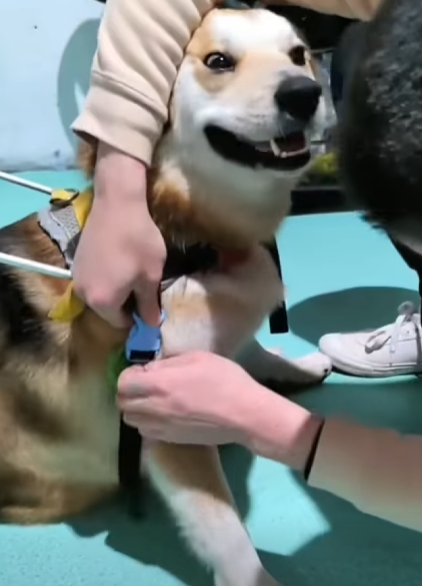 He used to run from people. Now he runs to them (Part 2)