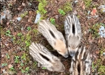 Cada vida merece amor y protección (Parte 2)