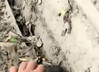 M1311004 Nunca es tarde para hacer el bien (Parte 2)