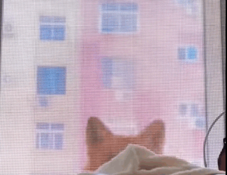 Mira la parte 2 en los comentarios