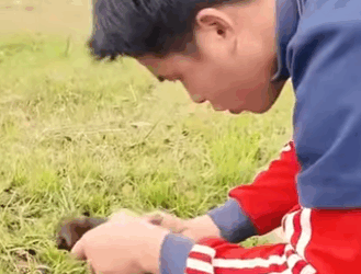 M1411002 El amor verdadero se encuentra en un refugio (Parte 2)