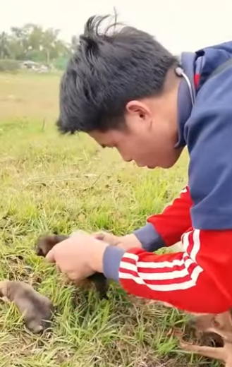 M1411002 El amor verdadero se encuentra en un refugio (Parte 2)