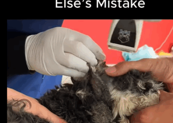 Donde hay amor, hay salvación (Part 2)