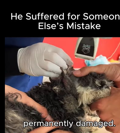 Donde hay amor, hay salvación (Part 2)