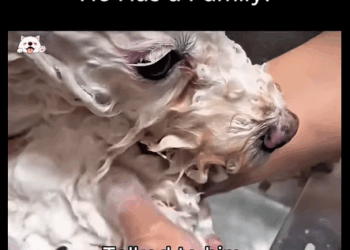 He Was Tu bondad deja huellas eternas (Parte 2)