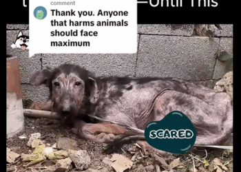 Una vida rescatada, un milagro cumplido (Parte 2)