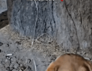 H1511002 Golpeado, oculto sin esperanza así me encontraron (Parte 2)