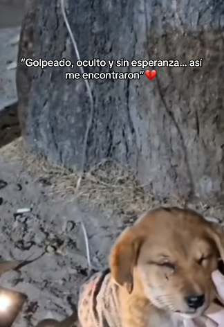 H1511002 Golpeado, oculto sin esperanza así me encontraron (Parte 2)