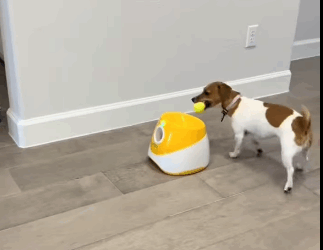 H1511003 El mejor juguete del mundo para tu perrito (Parte 2)