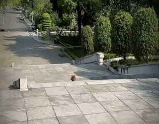 H1511009 Prohibido llorar (Parte 2)