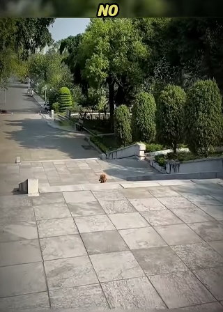 H1511009 Prohibido llorar (Parte 2)